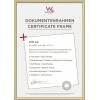 walther+ design KV130G vyměnitelný fotorámeček Formát papíru: A4 (š x v) 21 cm x 29.7 cm zlatá