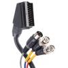 Koaxiální kabel, řada: SCART, Černá 2 m RS PRO S koncovkou