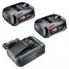 Bosch Home and Garden 1600A031T5 1600A031T5 akumulátor do nářadí a nabíječka 2.5 Ah Bosch Home and Garden 1600A031T5 1600A031T5 akumulátor do nářadí a nabíječka 2.5 Ah