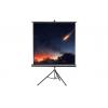 Celexon 1090016 plátno na stativu 184 x 184 cm Formát obrazu: 1:1