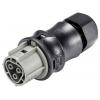 Wieland Electric 96.031.4154.3 konektor Wieland Electric 96.031.4154.3 konektor