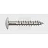 SWG 211535620 vrut na dřevěné fasády 5.5 mm 35 mm T profil nerezová ocel A4 100 ks