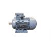 RS PRO Motor AC, řada: AAP100L4A 3 1440rpm 2.2 kW IE3 Patka 4pólový 400V RS PRO Motor AC, řada: AAP100L4A 3 1440rpm 2.2 kW IE3 Patka 4pólový 400V