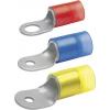 Klauke 6566 kulaté kabelové oko Průřez (max.)=50 mm² modrá 1 ks Klauke 6566 kulaté kabelové oko Průřez (max.)=50 mm² modrá 1 ks