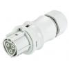 Wieland Electric 96.031.0153.0 konektor