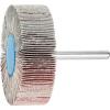 PFERD TOOLS 44508066 Vějířový brusný kotouč Průměr 60 mm 10 ks PFERD TOOLS 44508066 Vějířový brusný kotouč Průměr 60 mm 10 ks
