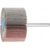 PFERD TOOLS 44420060 Vějířový brusný kotouč Průměr 30 mm 10 ks PFERD TOOLS 44420060 Vějířový brusný kotouč Průměr 30 mm 10 ks