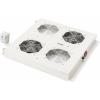 Digitus DN-19 FAN-2-N 19 palec 2 x šedobílá (RAL 7035)