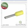 Quadrios 25C534 dutinka 0.25 mm² částečná izolace žlutá 100 ks Quadrios 25C534 dutinka 0.25 mm² částečná izolace žlutá 100 ks