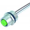 Murrelektronik neupravený zástrčkový konektor pro senzory - aktory, 7000-13561-9020020, piny: 5, 0.20 m, 1 ks