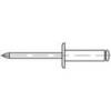 trhací nýt TOOLCRAFT 160021, (Ø x d) 3.2 mm x 10 mm, hliník, 500 ks