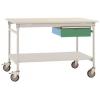 Manuflex BB5351.6011 Kompletní servírovací stolek základní mobilně se Melamin-Platte + jednotlivé zásuvky, Šxhxv: 1500 x 800 x 850 mm rezedově zelená (RAL 6011)