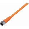 ifm Electronic EVT123 Přívodní kabel, EVT123, piny: 3, 5 m, 1 ks