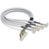 Phoenix Contact CABLE-FLK50/OE/0,14/ 200 2305376 propojovací kabel pro... Phoenix Contact CABLE-FLK50/OE/0,14/ 200 2305376 propojovací kabel pro...