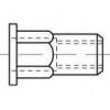 TOOLCRAFT TO-5380581 slepá nýtovací matice M4 nerezová ocel 500 ks