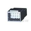 TE Connectivity 1-1318115-6 1 ks Bag