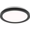 Philips 8721103057563 stropní svítidlo, LED stropní svítidlo černá Philips 8721103057563 stropní svítidlo, LED stropní svítidlo černá