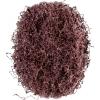 PFERD 44637100 Kotouč pro mramorovací tělísko Průměr 40 mm 100 ks