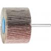 PFERD TOOLS 44508066 Vějířový brusný kotouč Průměr 60 mm 10 ks PFERD TOOLS 44508066 Vějířový brusný kotouč Průměr 60 mm 10 ks