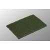 Vileda Brusná ruční podložka, Zelená, Mycí houba 150 mm, Mytí nádobí 15cm 230 mm