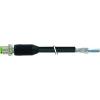 Murrelektronik 7000-13081-6410150 neupravený zástrčkový konektor pro senzory - aktory M12 x 1 zástrčka, rovná 1.50 m Počet pólů: 4 1 ks