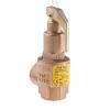 Přetlakový ventil 4 bar N-542-020 4 BAR Nabic Valve Safety Products 3/4 in 3/4 in Přetlakový ventil 4 bar N-542-020 4 BAR Nabic Valve Safety Products 3/4 in 3/4 in