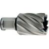 Metabo 626500000 jádrový vrták 12 mm 1 ks Metabo 626500000 jádrový vrták 12 mm 1 ks