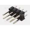 DS1021-2X4SF11-B DS1021-2X4SF11-B