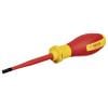 Bosch Professional 1600A02NC3 VDE šroubovák pro šrouby Microstix