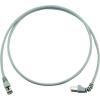Telegärtner 100008305 RJ45 síťové kabely, propojovací kabely CAT 6A S/FTP 2.00 m šedá samozhášecí, bez halogenů 1 ks Telegärtner 100008305 RJ45 síťové kabely, propojovací kabely CAT 6A S/FTP 2.00 m šedá samozhášecí, bez halogenů 1 ks