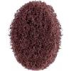 PFERD 44637180 Kotouč pro mramorovací tělísko Průměr 40 mm 100 ks