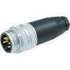 Murrelektronik 7000-78101-0000000 neupravený zástrčkový konektor pro senzory - aktory, 7000-78101-0000000, 1 ks