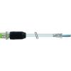 Murrelektronik 7000-13081-3311000 neupravený zástrčkový konektor pro senzory - aktory M12 x 1 zástrčka, rovná 10.00 m Počet pólů: 4 1 ks