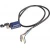 Telemecanique Sensors OsiSense XC Páka s válečkem Koncový spínač 1 NO/1 NC IP68, IP67, IP66 Slitina zinku 240V ac 3A Telemecanique Sensors OsiSense XC Páka s válečkem Koncový spínač 1 NO/1 NC IP68, IP67, IP66 Slitina zinku 240V ac 3A