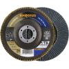 Rhodius 211330 vějířovitý brusný kotouč Průměr 115 mm Ø otvoru 22.23 mm Zrnitost 120 nerezová ocel, ocel 1 ks