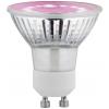 Paulmann 28819 LED Energetická třída (EEK2021) G (A - G) G9 4 W zlatá ... Paulmann 28819 LED Energetická třída (EEK2021) G (A - G) G9 4 W zlatá ...