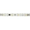 TRU COMPONENTS TRU-PL-HIGH-CRI TRU-PL-HIGH-CRI LED osvětlení pro akvárium s klecovou tahovou pružinou 12 V 180 mm neutrální bílá 1 ks