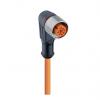 Kabel ovladače snímače, A: Vnitřní, A: M12, Pravoúhlý 4, 230 V ac, 250V dc, IP65, IP67, řada: RKWT Lumberg Automation 2