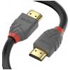 Renkforce RF-4746622 HDMI / DisplayPort adaptér [1x zástrčka DisplayPo...