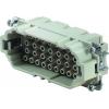 HDC insert, Male, 500 V, 16 A, No. of poles: 32, Crimp connection, Size: 6 HDC insert, Male, 500 V, 16 A, No. of poles: 32, Crimp connection, Size: 6