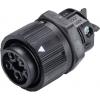 Wieland Electric RST16I3KSBS 15 30SW 46.432.3030.1 upravený kulatý fas...