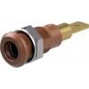Staubli Testovací zásuvka, 4 mm, 30V ac, 25A, Hnědá, Vnitřní Jazýček, materiál kontaktu: Slitina měď-zinek, pokovení Staubli Testovací zásuvka, 4 mm, 30V ac, 25A, Hnědá, Vnitřní Jazýček, materiál kontaktu: Slitina měď-zinek, pokovení