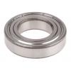 Kuličkové ložisko 6006-2Z SKF 30 mm (vnitřní prům.) 55 mm OD Kuličkové ložisko 6006-2Z SKF 30 mm (vnitřní prům.) 55 mm OD