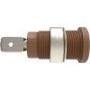 Schützinger DI SEB 7080 Ni / BR bezpečnostní vestavná zásuvka 4 mm Rovná hnědá 1 ks Schützinger DI SEB 7080 Ni / BR bezpečnostní vestavná zásuvka 4 mm Rovná hnědá 1 ks