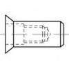 TOOLCRAFT TO-5444307 slepá nýtovací matice M6 ocel 500 ks
