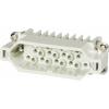 HARTING Staf 6-sti-s 09700062616 vložka pinového konektoru, seria Han®... HARTING Staf 6-sti-s 09700062616 vložka pinového konektoru, seria Han®...