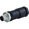Murrelektronik 7000-P7391-0000000 neupravený zástrčkový konektor pro senzory - aktory zástrčka, rovná Počet pólů: 4 1 ks