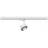 Paulmann ProRail3 Spot Aldan 9W Whi 4000K 3Ph dim systémové světlo ProRail3 0.00 W LED bílá, černá