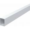 OBO Bettermann 6247016 kabelová lišta (d x š x v) 2000 x 60 x 40 mm 1 ks přírodní OBO Bettermann 6247016 kabelová lišta (d x š x v) 2000 x 60 x 40 mm 1 ks přírodní