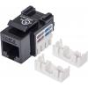Intellinet 210720 RJ45 vestavný modul Keystone CAT 6 1 ks